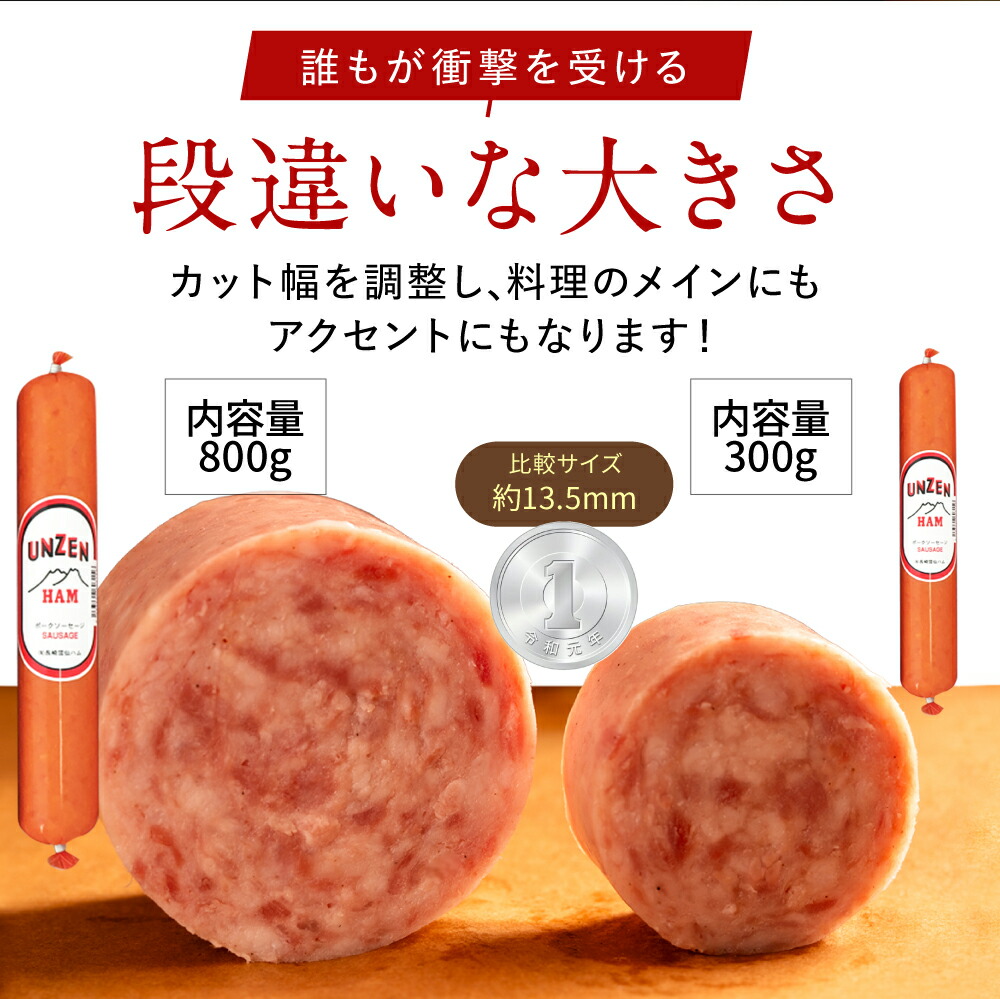 雲仙ハム ギフト セット 800g×2本 ボロ...の詳細画像5