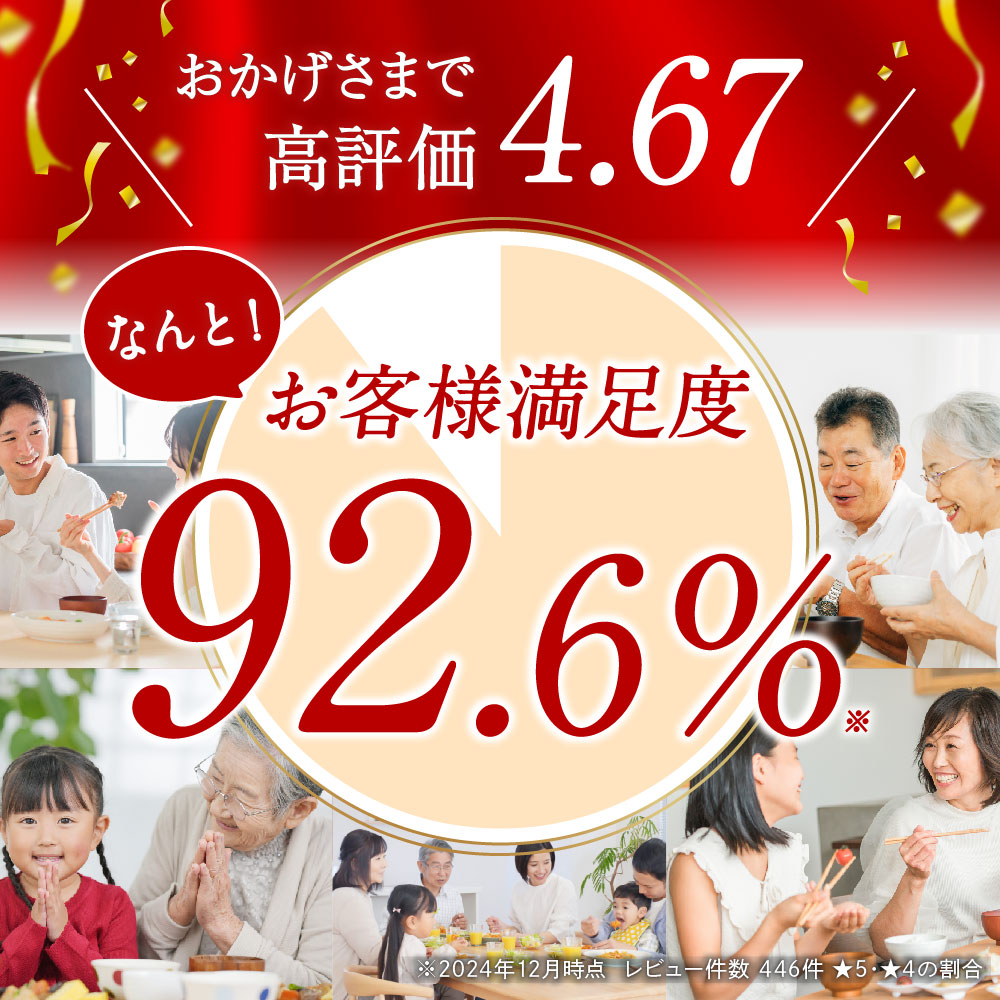 雲仙ハム ギフト セット 800g×2本 ボロ...の詳細画像1