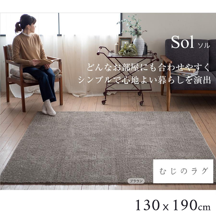 ラグ 洗える オールシーズン 丸洗い 防ダニ カーペット