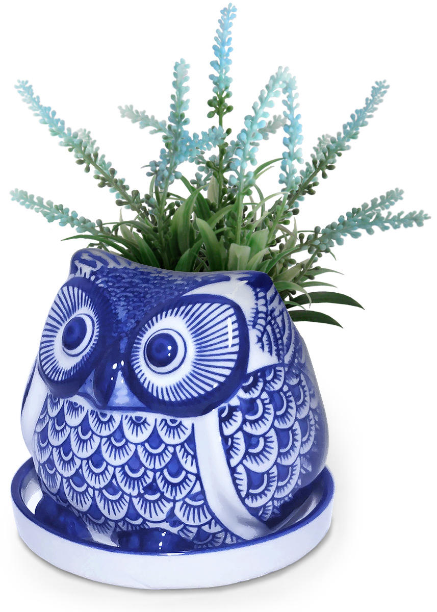  plant pot ceramics owl . un- .. plate attaching bottom hole equipped image image 