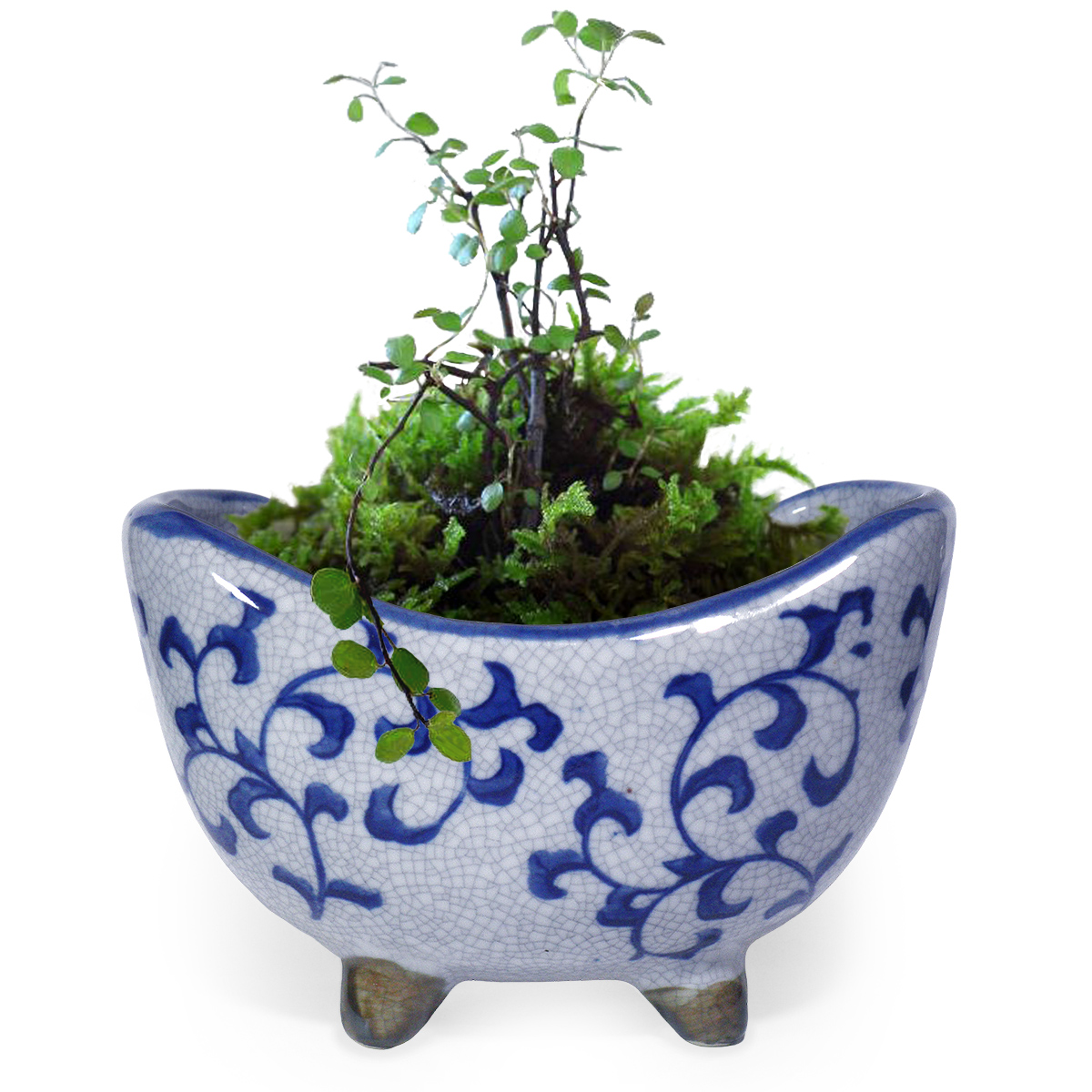 植木鉢 三日月 脚付き イメージ画像