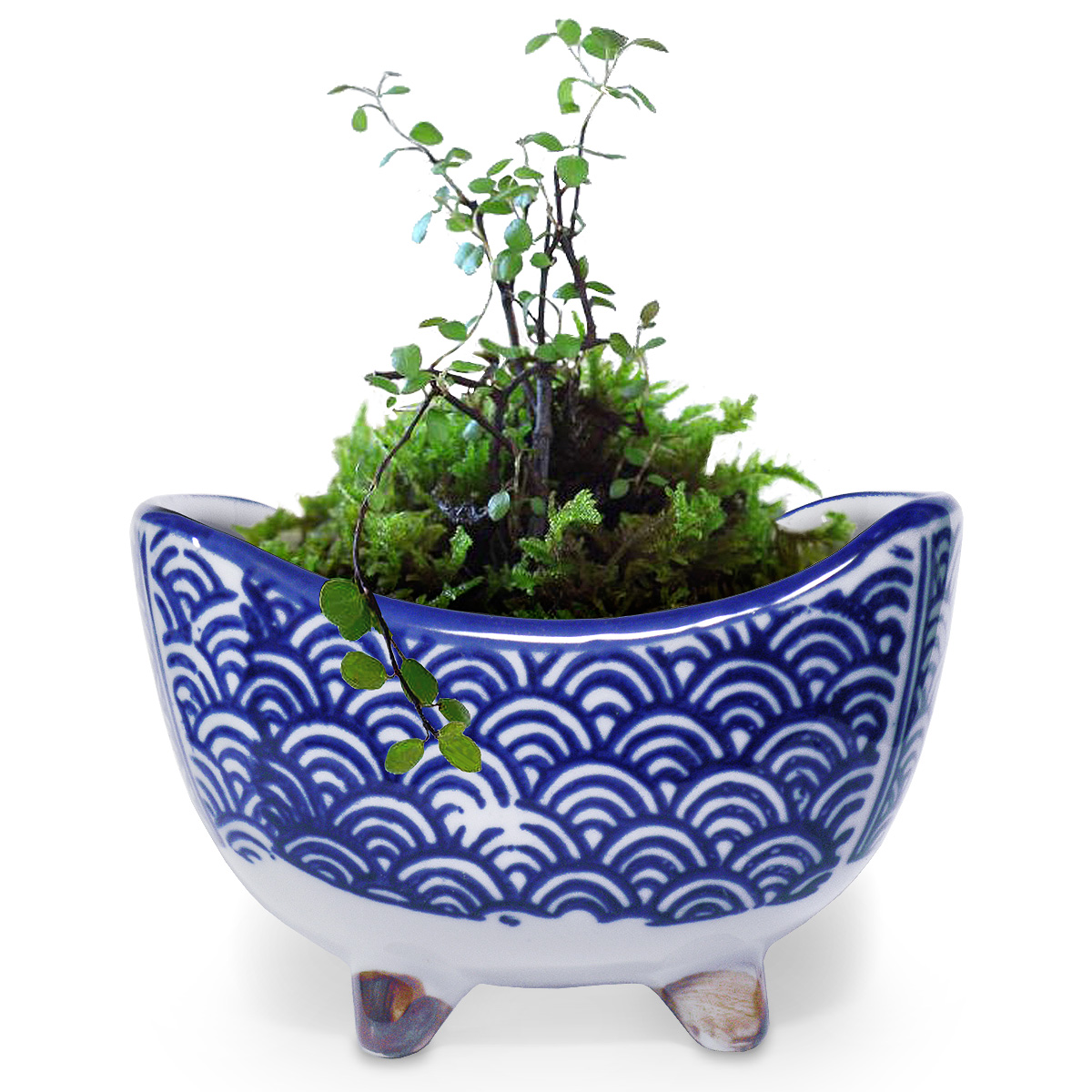 植木鉢 三日月 脚付き イメージ画像