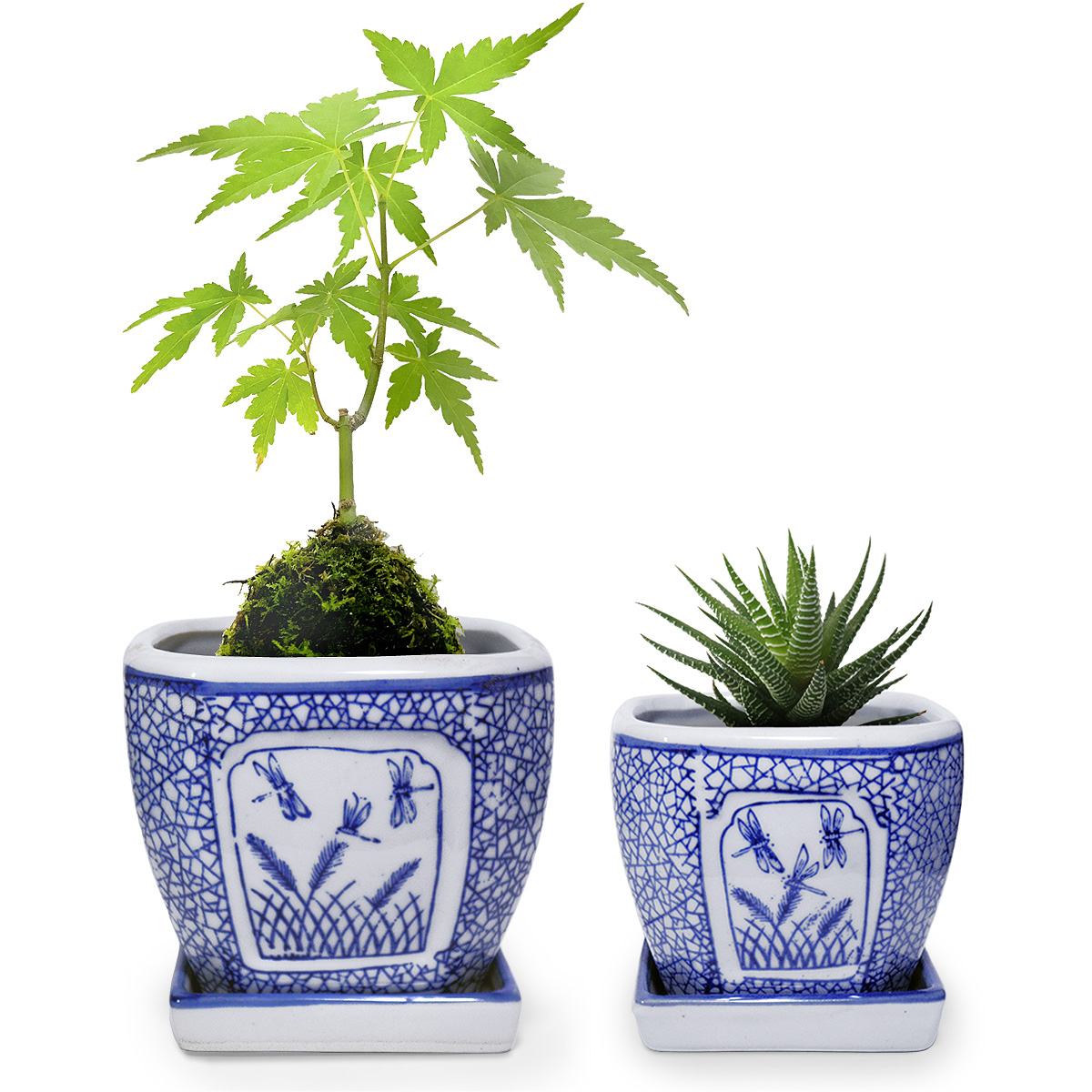 落款あり 作家もの風 盆栽鉢2点セット 重厚 和鉢 陶器 植木鉢 陶器 2点セット 和風 おしゃれ 皿付き 角鉢(トンボ 氷裂文)盆栽