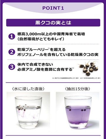 訳あり品 黒クコの実 30包 酵素 酵母 ブラックゴジベリー 在庫限り