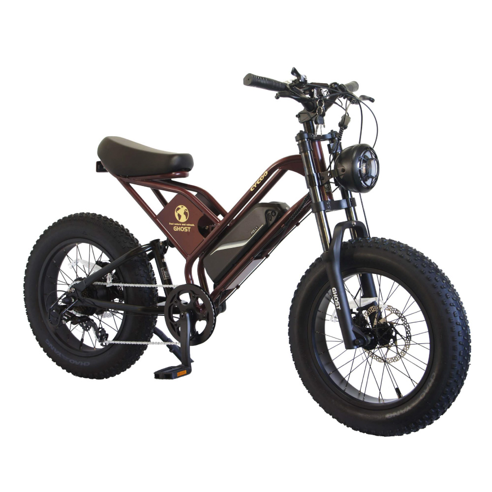 【所沢直接引取限定】Laccoon 電動アシスト自転車 電動アシスト自転車 電動自転車 CYCOO サイクー 2025年 GHOST