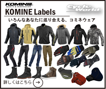 旧裏　ゴマゾウ C SM6b チャンピオンロード 033/066 旧裏 ゴマゾウ C SM6b チャンピオンロード 033/066 旧裏ゴマゾウ C