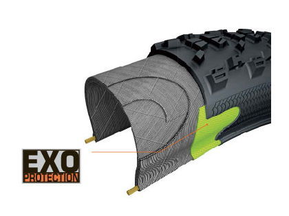 特セール)MAXXIS（マキシス） RECEPTOR（レセプター）EXO/TR