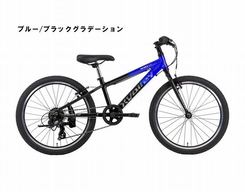 専用出品‼️NESTO X-VALLEY KID22インチ　2022年6月購入 00654902_1_l.jpg