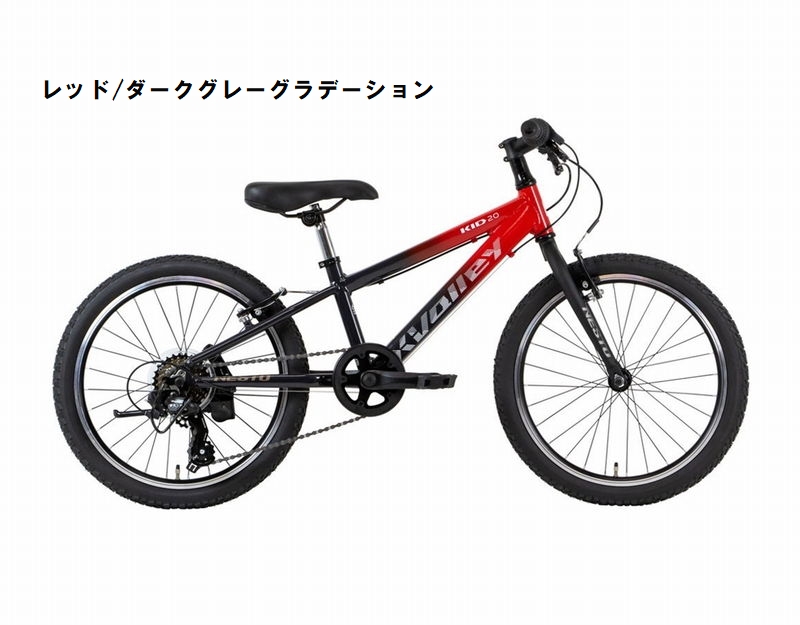 店舗受取送料割引)ネスト(NESTO) X-VALLEY KID20（クロスバレーキッド 