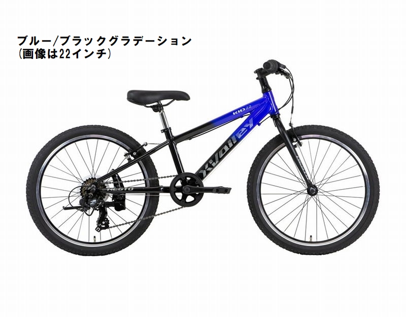 お引き取り限定 NESTO 20インチ X-VALLEY KID 外装6段ギア 店舗受取送料割引)ネスト(NESTO) X-VALLEY KID20（クロスバレーキッド