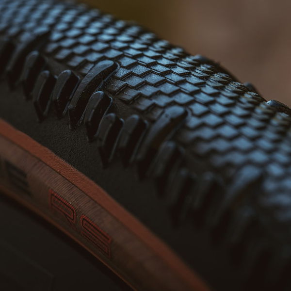 新春セール】シュワルベ(SCHWALBE) シュワルベ ジーワン RS TLE