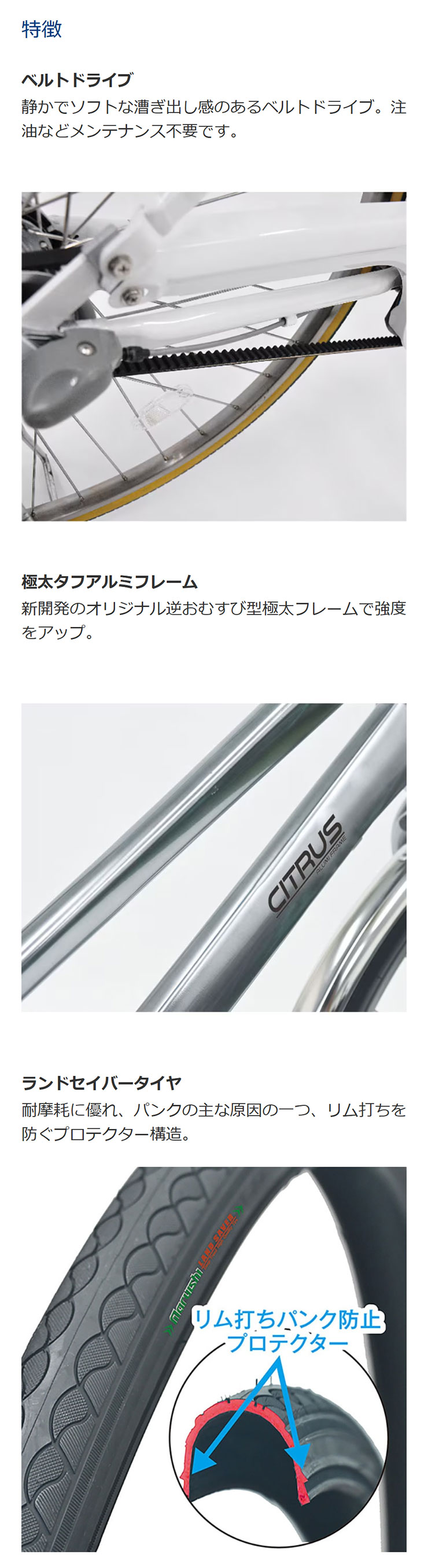 丸石サイクル 「地域限定商品」「丸石」シトラス ベルト「CISBP273A