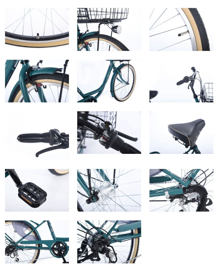 あさひ（asahi） 「あさひ」カーグバケットBAA-L 24インチ 6段変速