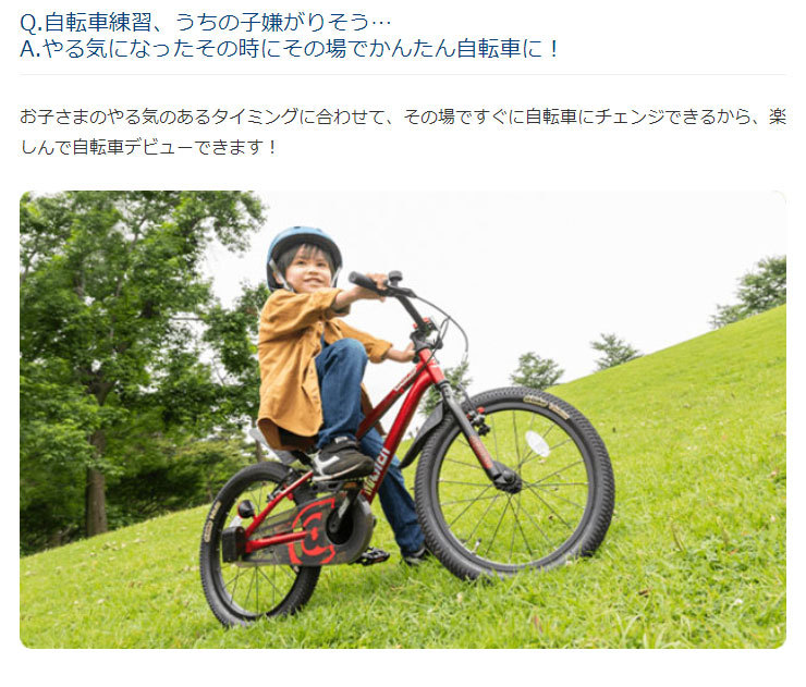 アイデス」D-Bike MASTER + Honda 16（Dバイク マスター プラス ホンダ