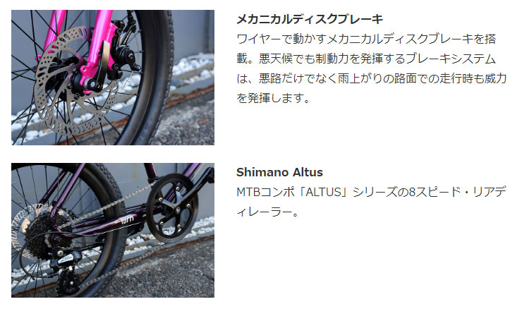 tern 「ターン」AMP F1（アンプ F1 限定カラー）20インチ フレーム