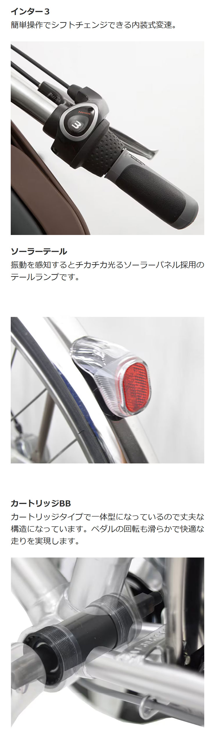 丸石サイクル 「地域限定商品」「丸石」エブリエンス ベルト「EBBP273R