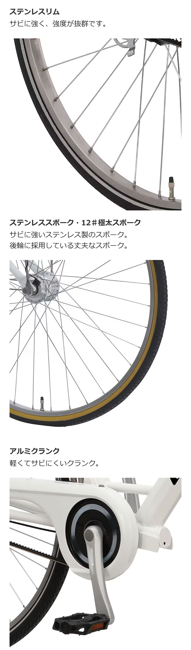 丸石サイクル 「地域限定商品」「丸石」エブリエンス ベルト「EBBP273R