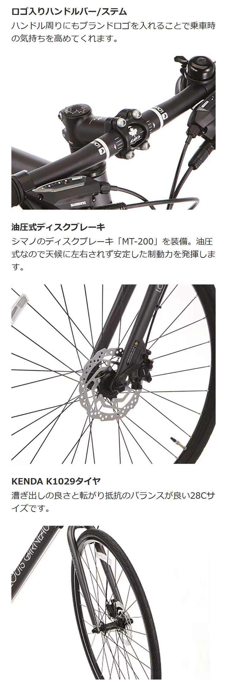 ルイガノ（LOUIS GARNEAU） 「ルイガノ」SETTER 9.0 DISC（セッター
