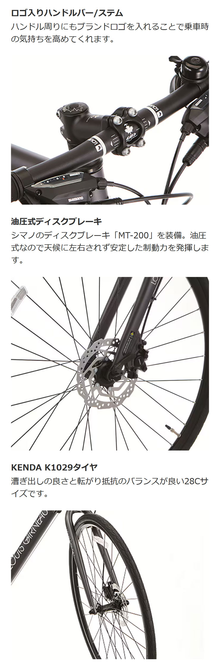 ルイガノ（LOUIS GARNEAU） 「ルイガノ」SETTER 9.0 DISC（セッター