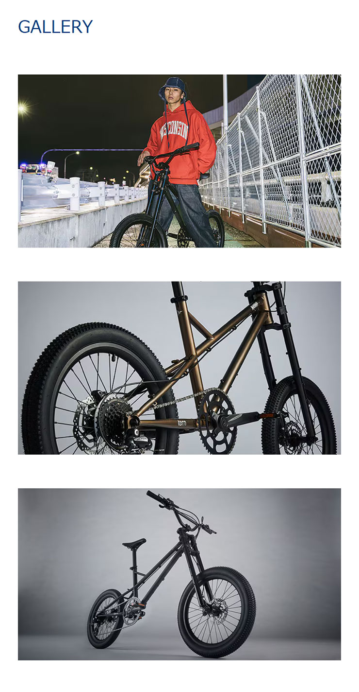 tern 「ターン」MASHUP（マッシュアップ）20インチ ミニベロ 自転車