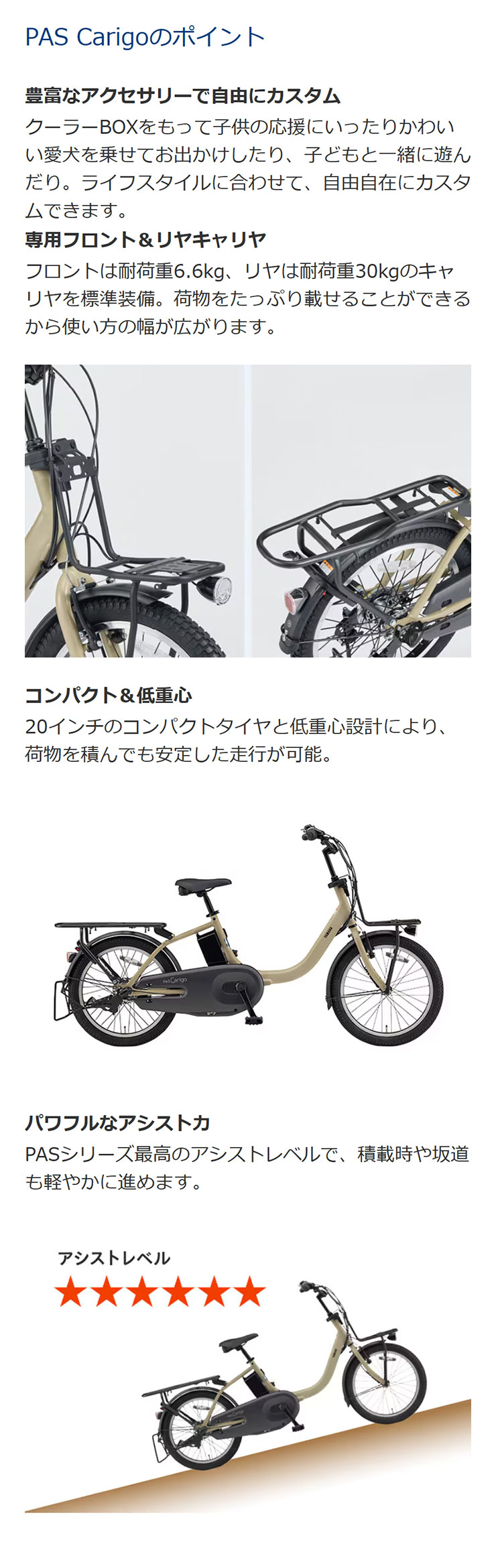 YAMAHA（ヤマハ） 「ヤマハ」PAS Carigo（パス キャリゴー）「PA20CG