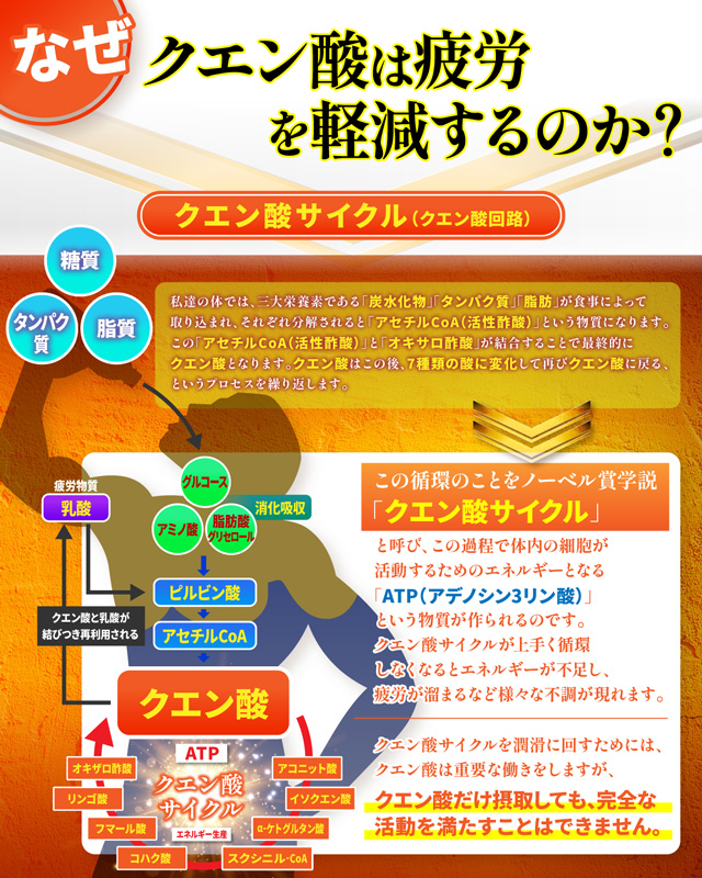 ３０袋入り シトリック アミノ GOLD MEDAL ZERO  ゴールドメダル ゼロ 9g×30袋 @7000 Citric メダリストジャパン |  | 05