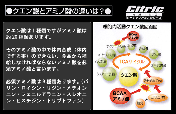Citric シトリック アミノ サプリ  エブリデイコンディション 6g×20包入り @2000 メダリスト |  | 01