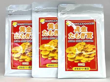 予約販売 2026年9月末入荷】たもぎたけ タモギタケ 黄金たもぎ茸