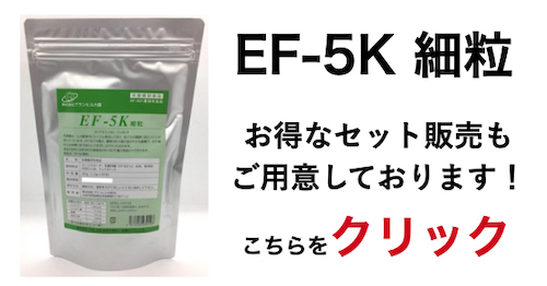 新型乳酸菌 EF-5K 細粒 30包新型乳酸菌 １袋３０包入り １包あたり約