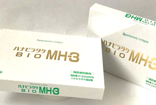 ハナビラタケ BIO MH-3【お得な２個セット】(320mg×60カプセル)×2