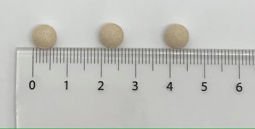 賞味期限2026年8月末】タモギタケ 黄金たもぎ茸 5袋セット 1袋360錠