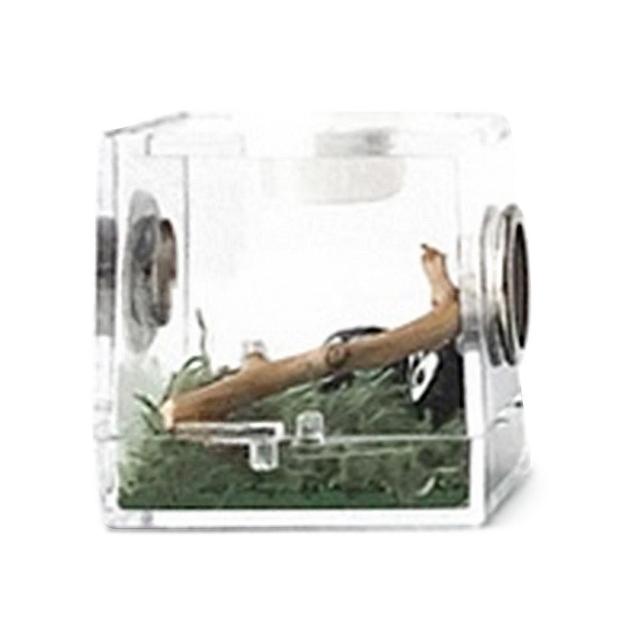 ペット用の透明な容器,魚を捕まえるためのアクリル製の穴のある餌箱,Splizardgeckos用｜cyukusou｜03