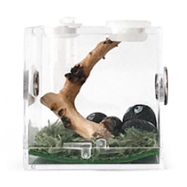 ペット用の透明な容器,魚を捕まえるためのアクリル製の穴のある餌箱,Splizardgeckos用｜cyukusou｜02