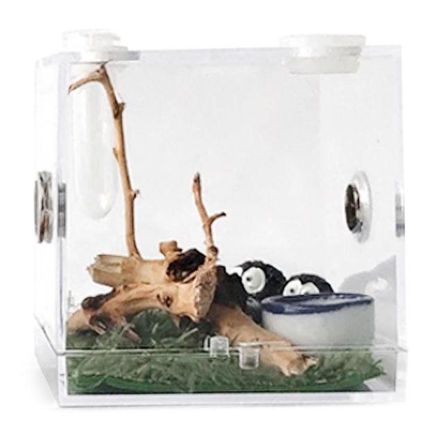 ペット用の透明な容器,魚を捕まえるためのアクリル製の穴のある餌箱,Splizardgeckos用｜cyukusou｜04