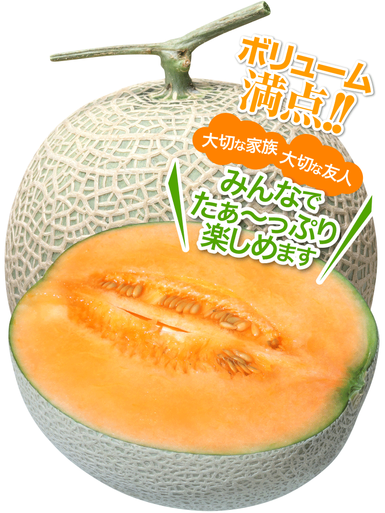 富良野山部産赤肉メロン太陽の王様2.2kg 2玉 : 帯広中央青果