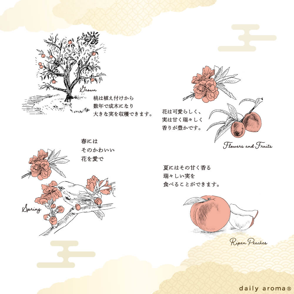 商品画像7