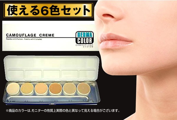 メール便送料無料 ダーマカラー プロフェッショナル カバー