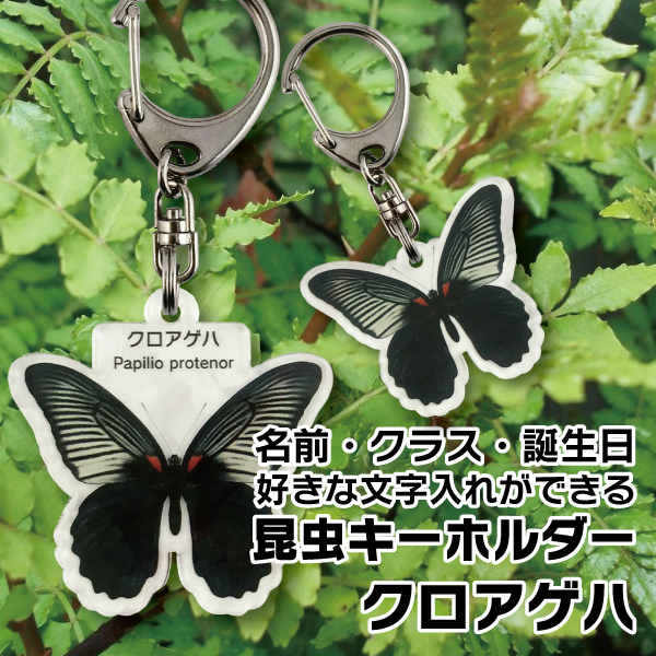 名入れ プレゼント 昆虫 キーホルダー クロアゲハ 子供 チャイルド