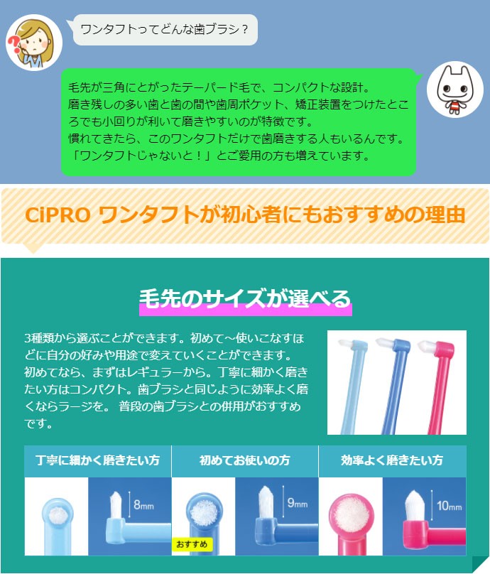 入園入学祝い 歯ブラシ CiPRO ワンタフト レギュラーヘッド Mふつう 10本セット メール便4点まで