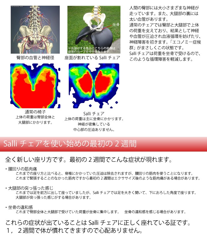 Salliチェアー Salli Sway ショートタイプ(ブラック) 開封後の Salliチェアー Salli Sway ショートタイプ(ブラック) 開封後の