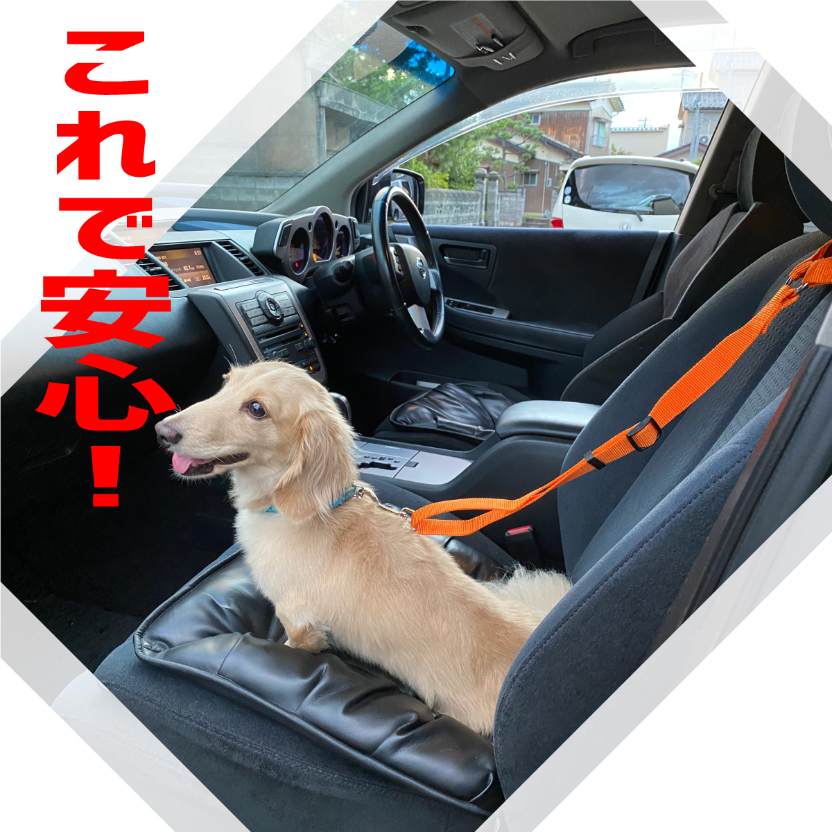 ペット用シートベルト 犬 ネコ シートベルト リード　安全　運転　064