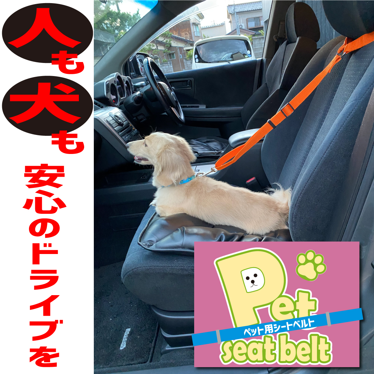 限定特価】 犬 猫 ペット シートベルト ドライブ お出かけ 車 リード ゲージ 赤
