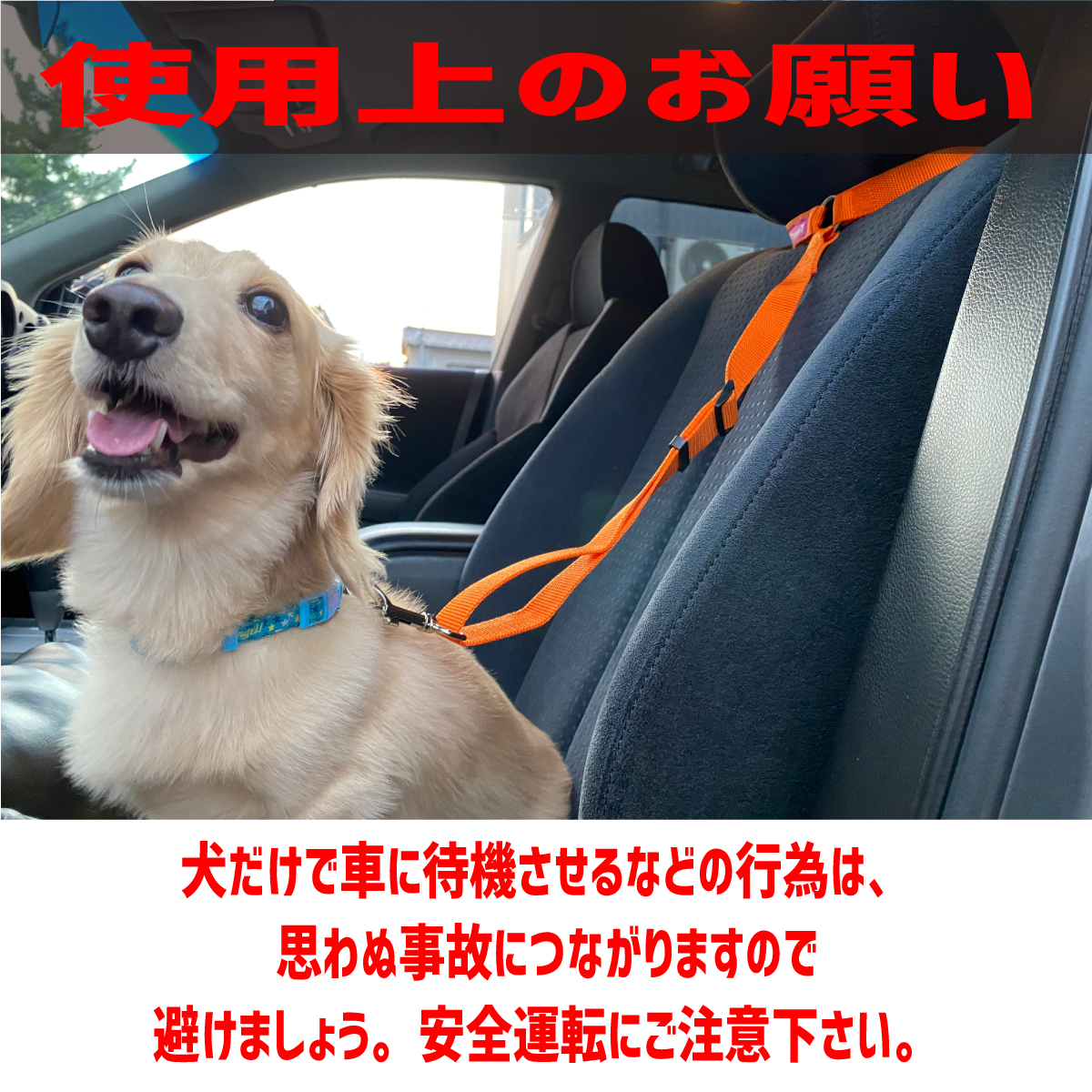 注目 ペット用 シートベルト ブラック ドライブ 車 リード ゲージ 犬 猫 黒 parksupplies.co.nz