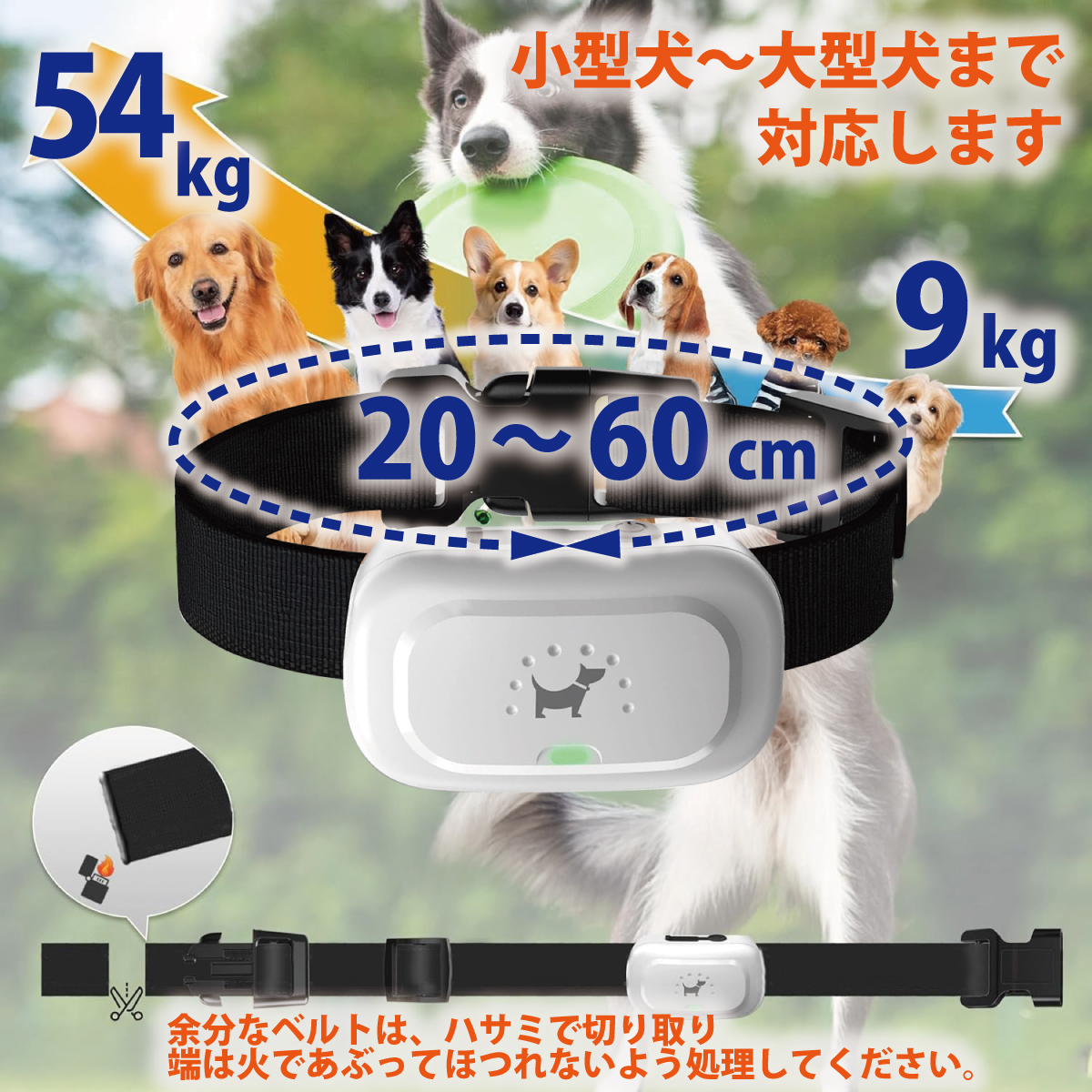 無駄吠え防止首輪 リモコン操作 犬 しつけ バーク対策首輪 3