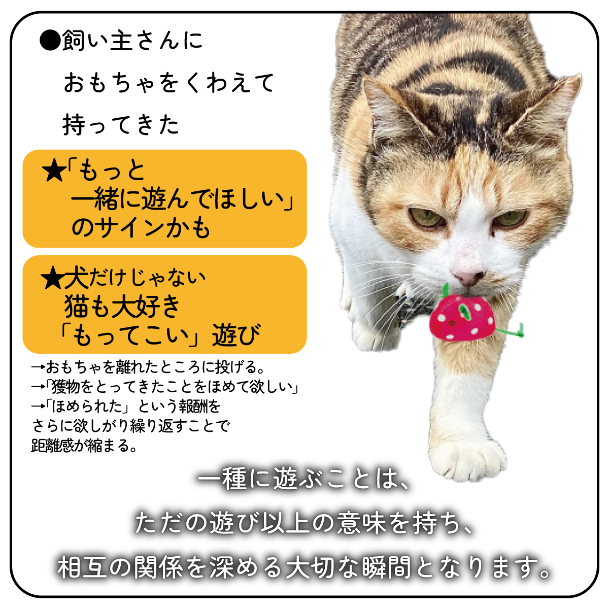 猫 おもちゃ ねずみ 歯磨き 10点 キャットトイ 猫用玩具 デンタルトイ