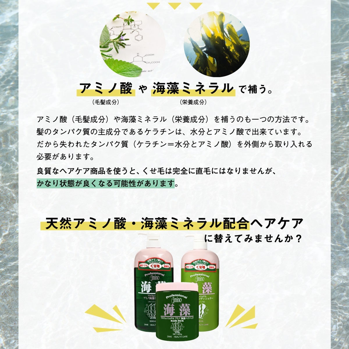 ダイムヘルスケア お得なセット プロフェッショナルアミノ海藻