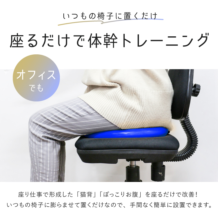 お買い得2個セット バランスディスク バランスクッション 体幹トレーニング 空気入れ付き 骨盤 ダイエット 宅トレ エクササイズ 関連画像5