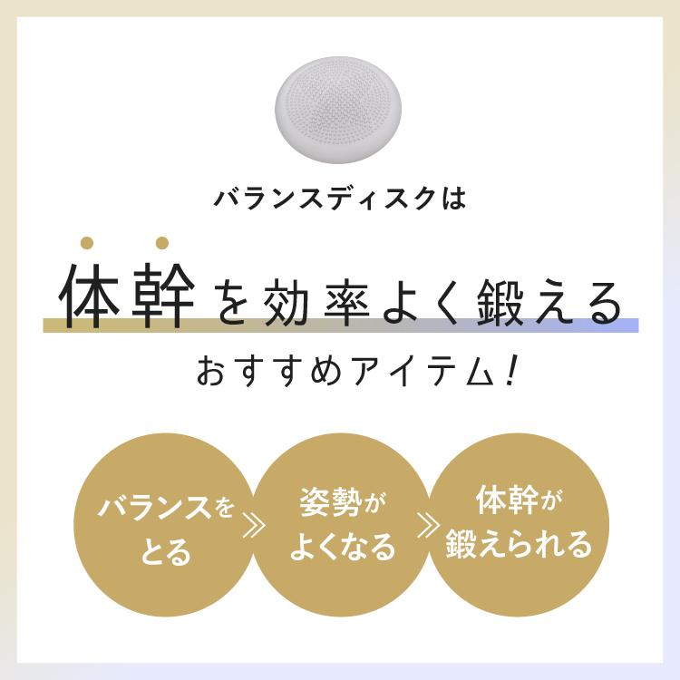 バランスディスク バランスクッション 体幹トレーニング 空気入れ付き 骨盤 ダイエット 宅トレ エクササイズ 関連画像2