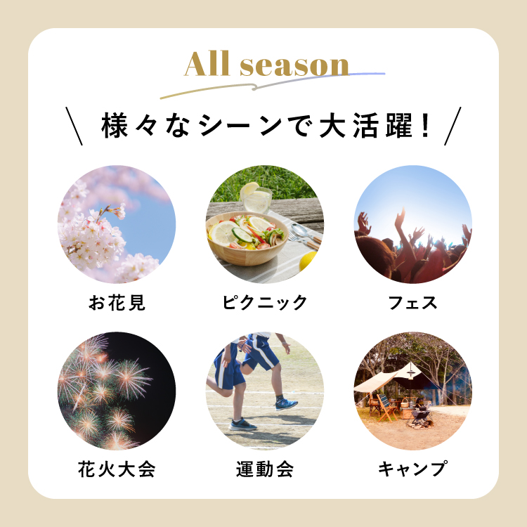 DABADA レジャーシート 200×200 軽く持ち運び楽々 ハトメ付き めくれ防止 厚手 大判 折りたたみ 海 ピクニックシート 関連画像2