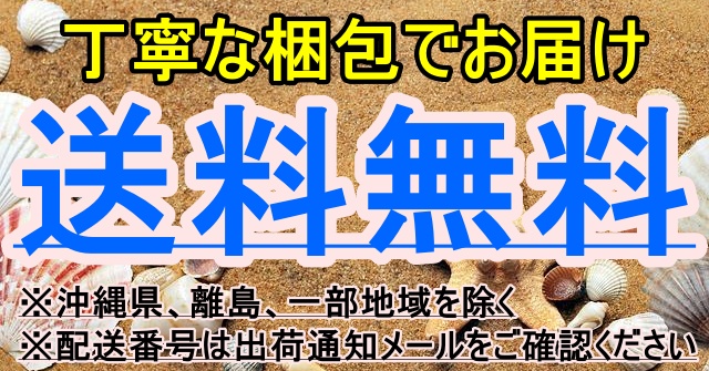防雪・防砂ネット 3.6×5.4m ブルー - 園芸用雑貨、グッズ